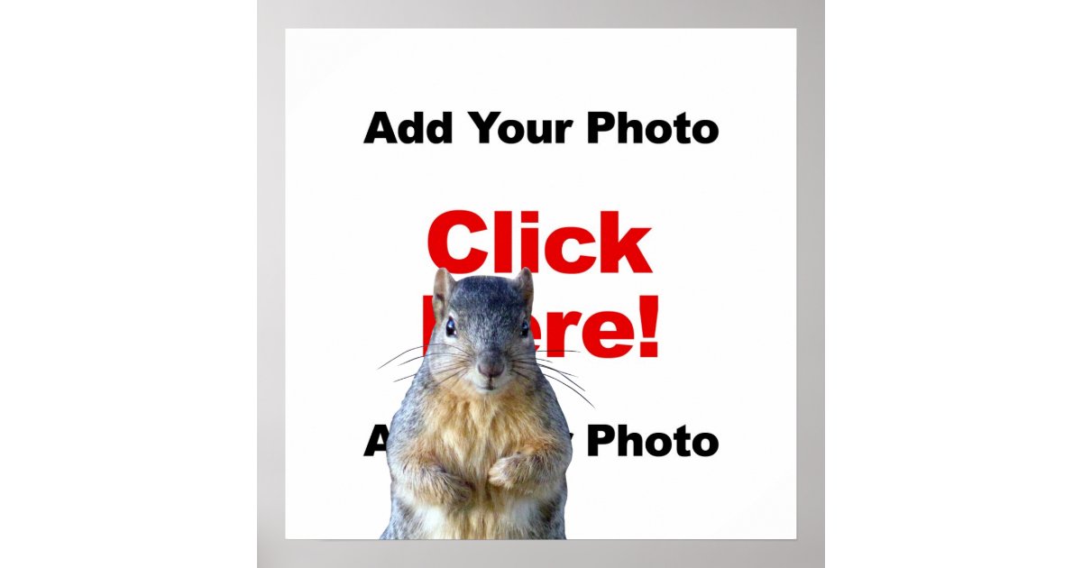 Add A Squirrel Custom Poster | Zazzle