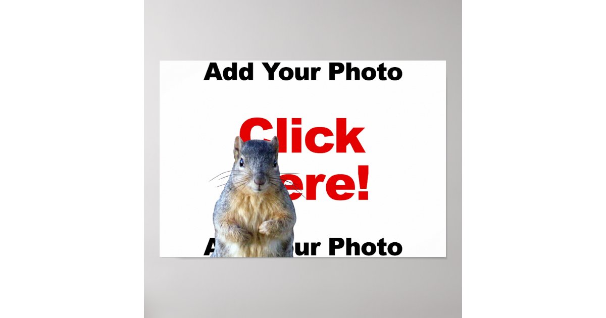 Add A Squirrel Custom Poster | Zazzle