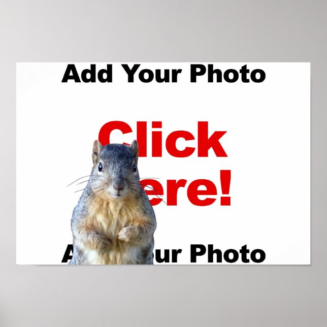 Add A Squirrel Custom Poster (Front)