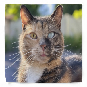 Add Cat Photo Customize Bandana