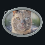 Add Cat Photo Customize Belt Buckle<br><div class="desc">Add Cat Photo Customize, Add Cat Photo, Cat, Cats, Photo, Customize, generativecontent, Personalize, pet, kitten</div>