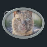 Add Cat Photo Customize Belt Buckle<br><div class="desc">Add Cat Photo Customize,  Add Cat Photo,  Cat,  Cats,  Photo,  Customize,  generativecontent,  Personalize,  pet,  kitten</div>