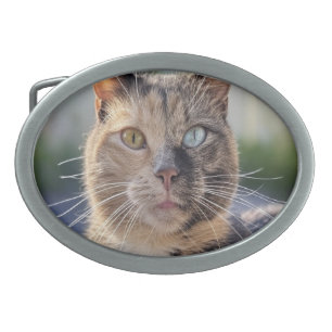 Add Cat Photo Customize Belt Buckle