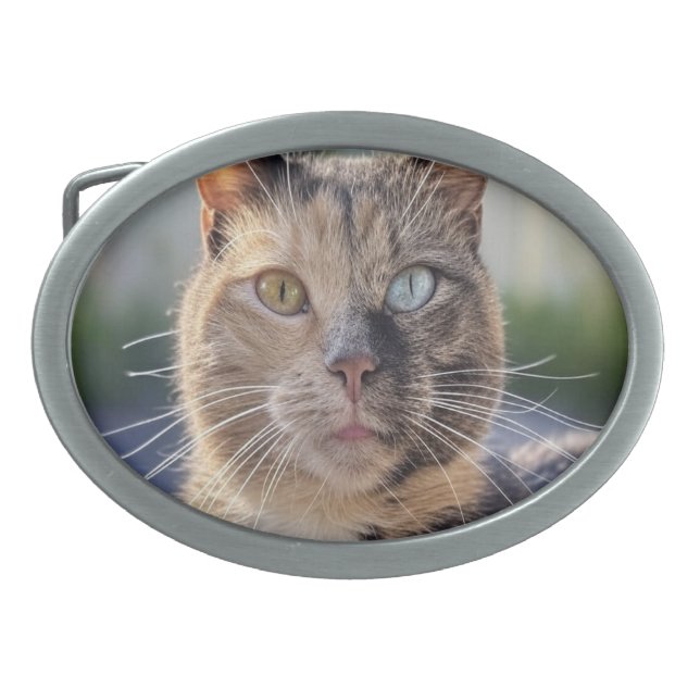 Add Cat Photo Customize Belt Buckle (Front)