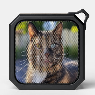 Add Cat Photo Customize Bluetooth Speaker