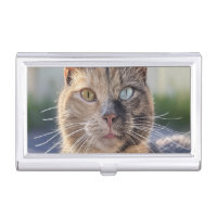 Add Cat Photo Customize