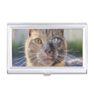 Add Cat Photo Customize Business Card Case