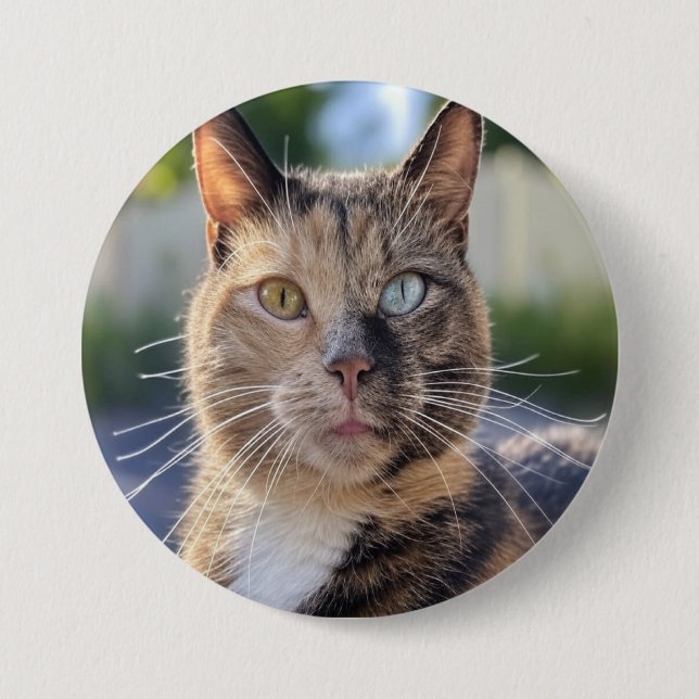 Add Cat Photo Customize Button (Front)