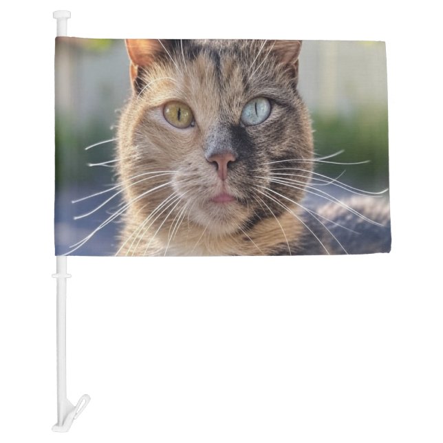 Add Cat Photo Customize Car Flag (Front)