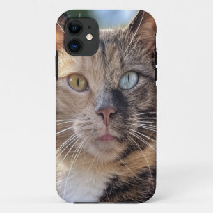Add Cat Photo Customize iPhone 11 Case