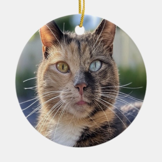 Add Cat Photo Customize Ceramic Ornament (Front)