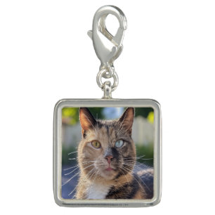 Add Cat Photo Customize Charm