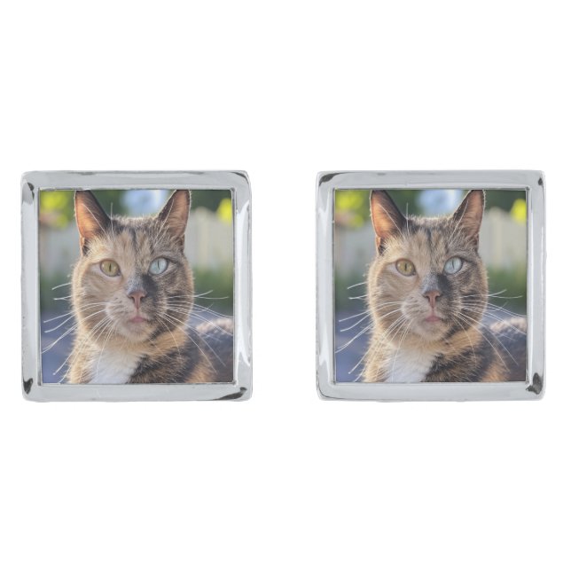 Add Cat Photo Customize Cufflinks (Front)
