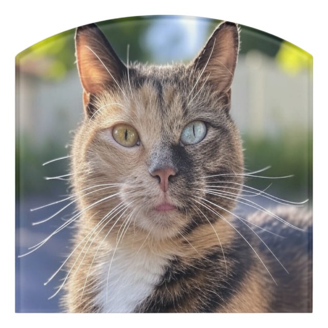 Add Cat Photo Customize Door Sign (Contour Front)