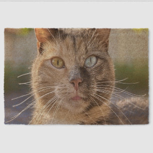 Add Cat Photo Customize Fiber Doormat