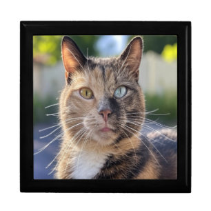 Add Cat Photo Customize Gift Box