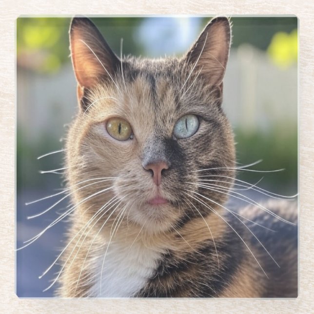 Add Cat Photo Customize Glass Coaster (Front)