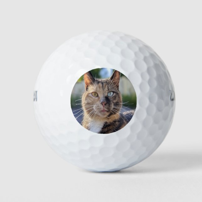 Add Cat Photo Customize Golf Balls (Front)
