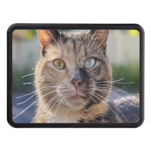 Add Cat Photo Customize Hitch Cover
