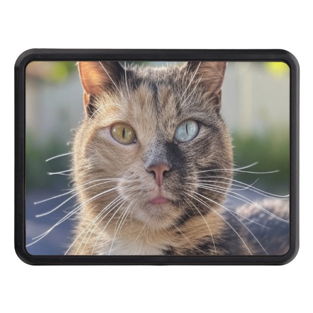 Add Cat Photo Customize Hitch Cover (Front)
