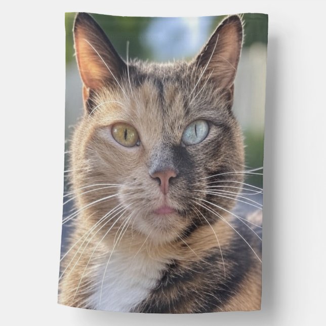 Add Cat Photo Customize House Flag (Front)
