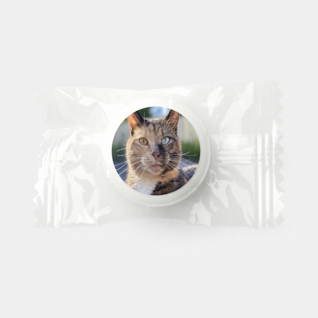 Add Cat Photo Customize Life Saver® Mints (Front)