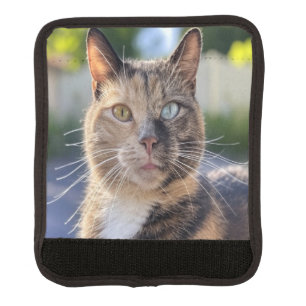 Add Cat Photo Customize Luggage Handle Wrap