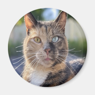 Add Cat Photo Customize Magnet