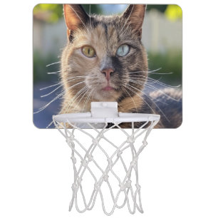 Add Cat Photo Customize Mini Basketball Hoop