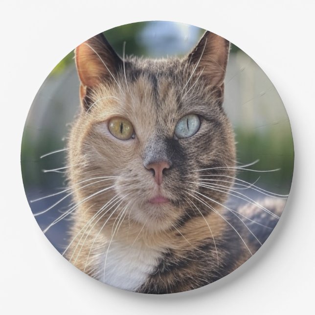 Add Cat Photo Customize Paper Plates (Front)