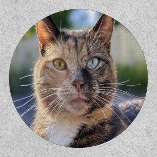 Add Cat Photo Customize Patch