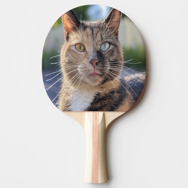 Add Cat Photo Customize Ping Pong Paddle (Front)