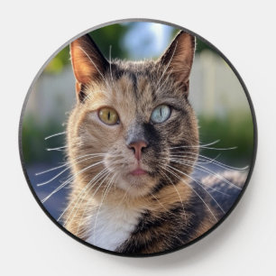 Add Cat Photo Customize PopSocket
