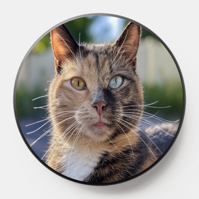 Add Cat Photo Customize PopSocket (Popsocket)