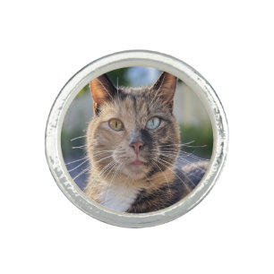 Add Cat Photo Customize Ring