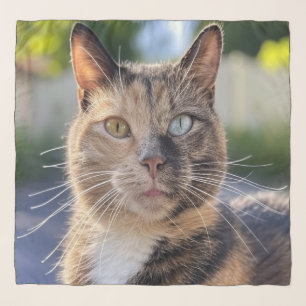Add Cat Photo Customize Scarf