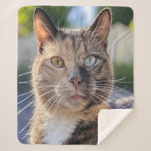 Add Cat Photo Customize Sherpa Blanket