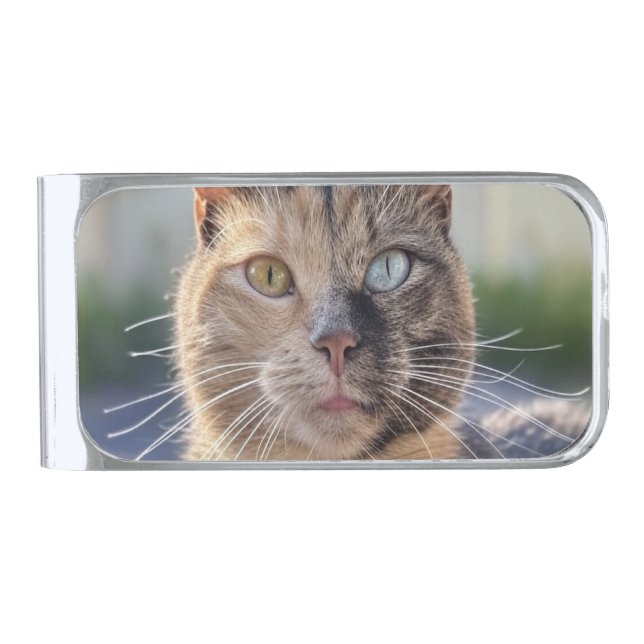 Add Cat Photo Customize Silver Finish Money Clip (Front)