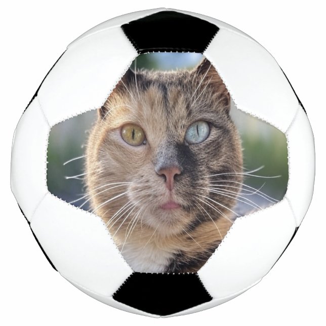 Add Cat Photo Customize Soccer Ball (Front)