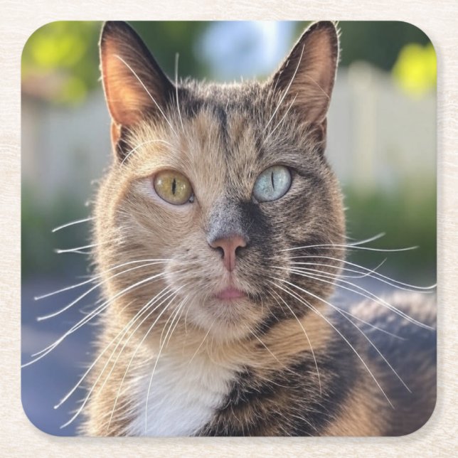 Add Cat Photo Customize Square Paper Coaster (Front)