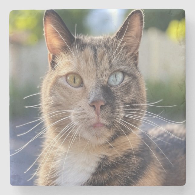 Add Cat Photo Customize Stone Coaster (Front)