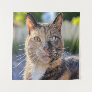 Add Cat Photo Customize Tapestry