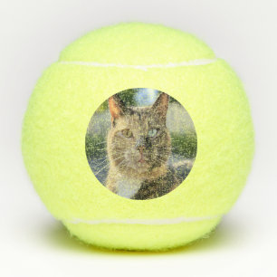 Add Cat Photo Customize Tennis Balls