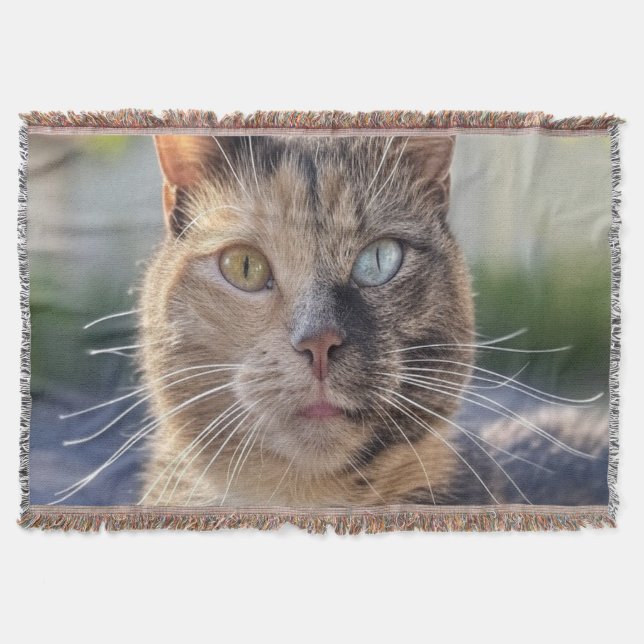 Add Cat Photo Customize Throw Blanket (Front)