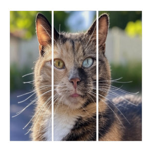 Add Cat Photo Customize Triptych