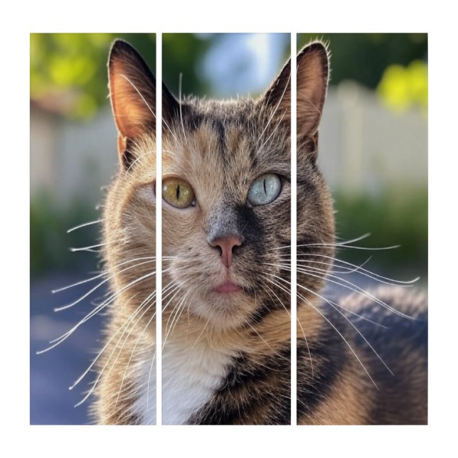 Add Cat Photo Customize Triptych (Front)