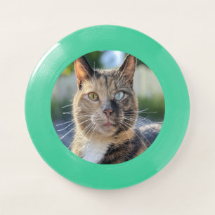 Add Cat Photo Customize Wham-O Frisbee
