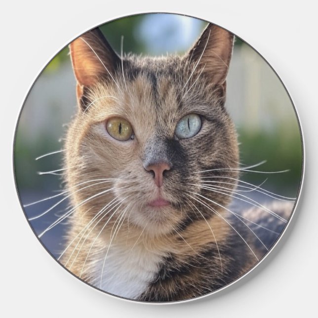 Add Cat Photo Customize Wireless Charger (Front)
