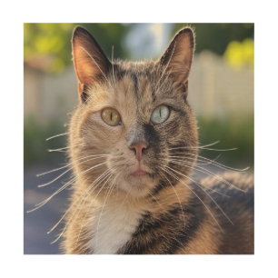 Add Cat Photo Customize Wood Wall Art