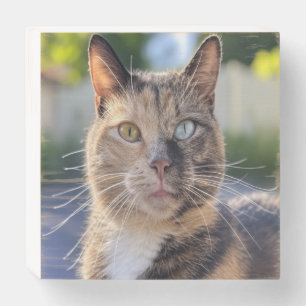 Add Cat Photo Customize Wooden Box Sign